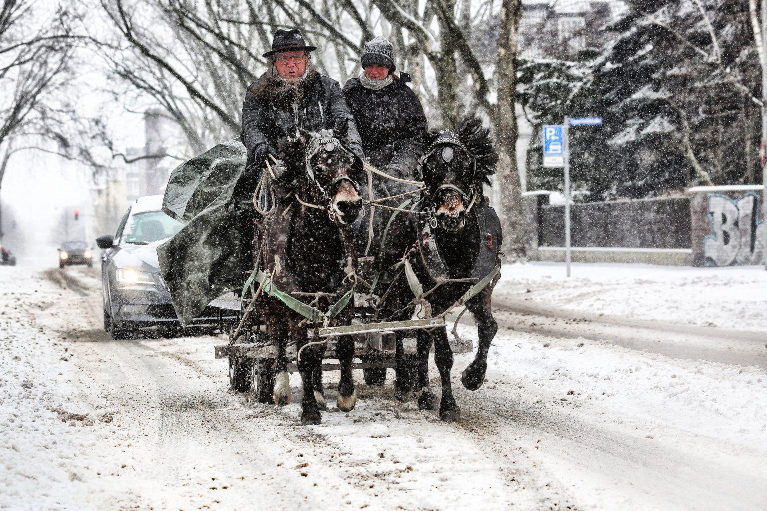 Oberhausen Kutsche Winter Schnee